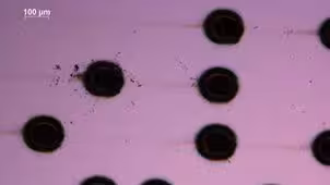 typical image after a 10000-on-1 measurement