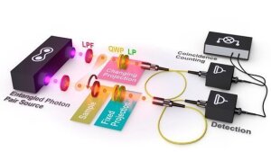 Schematischer Versuchsaufbau: links die Photonenquelle, die das polarisationsverschränkte Signal-Idler Photonenpaar in die Messstecke schickt. Das Signal-Photon trifft dabei auf die Probe (vorn) und verändert dabei seine Polarisationszustand. Die geänderte Photoneneigenschaft überträgt sich mittels Verschränkung auf das Idlerphoton, dessen Eigenschaft nun durch Polarisationsoptik (quarter-wave plate QWP, linear polarizer LP) bestimmt werden kann. Bevor die Messung stattfindet, wird ein Long Pass Filter (LPF) zum Abhalten von Störsignalen eingesetzt.