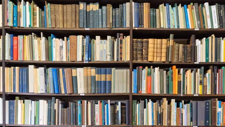 Bookshelf
