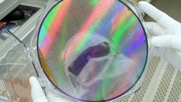 Examination of a Si wafer in the clean room