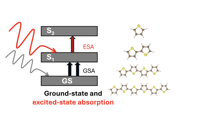Ground-state and excited-state absorption