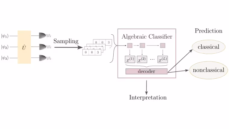 Model architecture for classifying quantum states as classical or nonclassical based on photon-number measurements