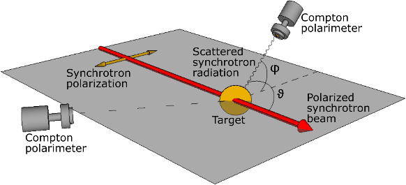 Sketch of the measurement geometry: The highly linearly polarized synchrotron beam is scattered by a gold target with a thickness of 1 µm. The scattered radiation can be detected at several positions using a Compton polarimeter.
